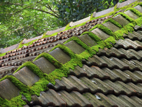 Démoussage de toiture dans la Sarthe